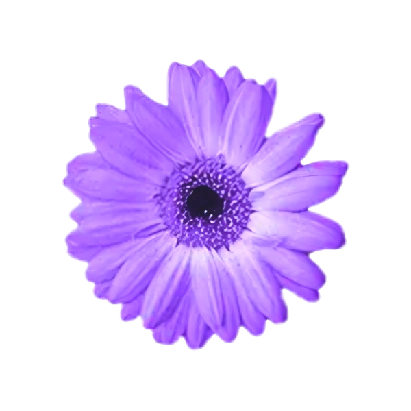 Artweaver — Descargar gratis. Edición digital y pintura