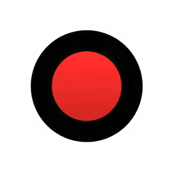 Bandicam — Descargar gratis. Grabación de pantalla profesional