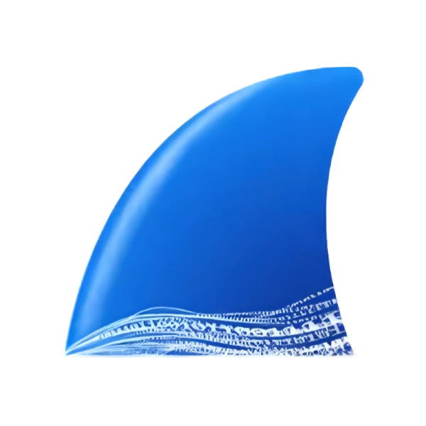 Wireshark — Descargar gratis. Analizador de protocolos de red