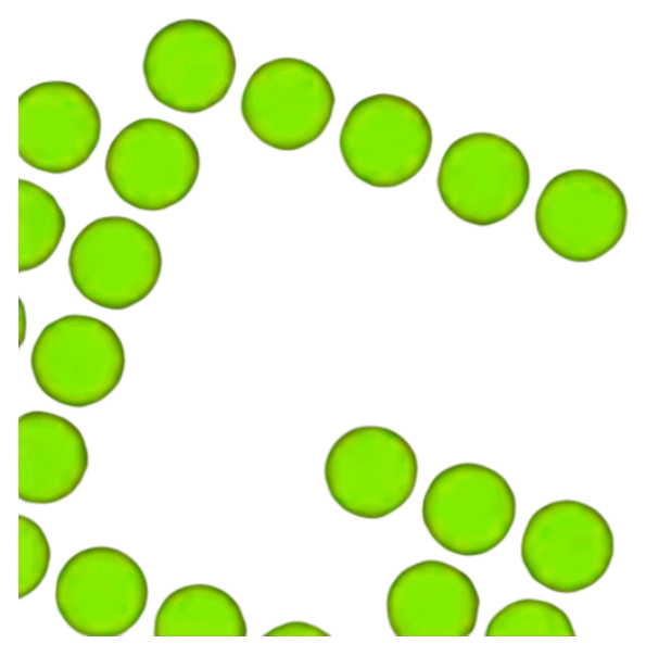 Greenshot — Descarga gratuita. Captura y edición de pantalla