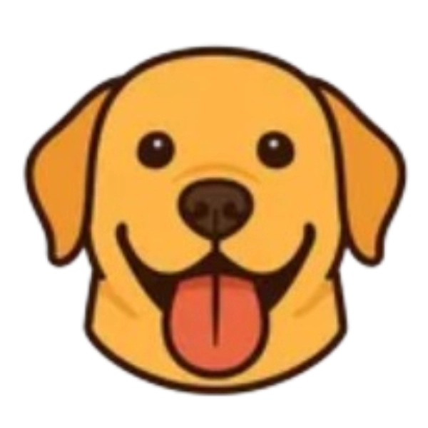 ProxyBridge — Descarga gratuita. Redirección tráfico aplicaciones Windows